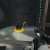 Fire a first portal under the ocular cube and the second on your side of the debris to retrieve it. Fire a first portal under the ocular cube and the second on your side of the debris to retrieve it.
