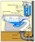 Blocked Drain? Whatever You Do, Don't Swallow!