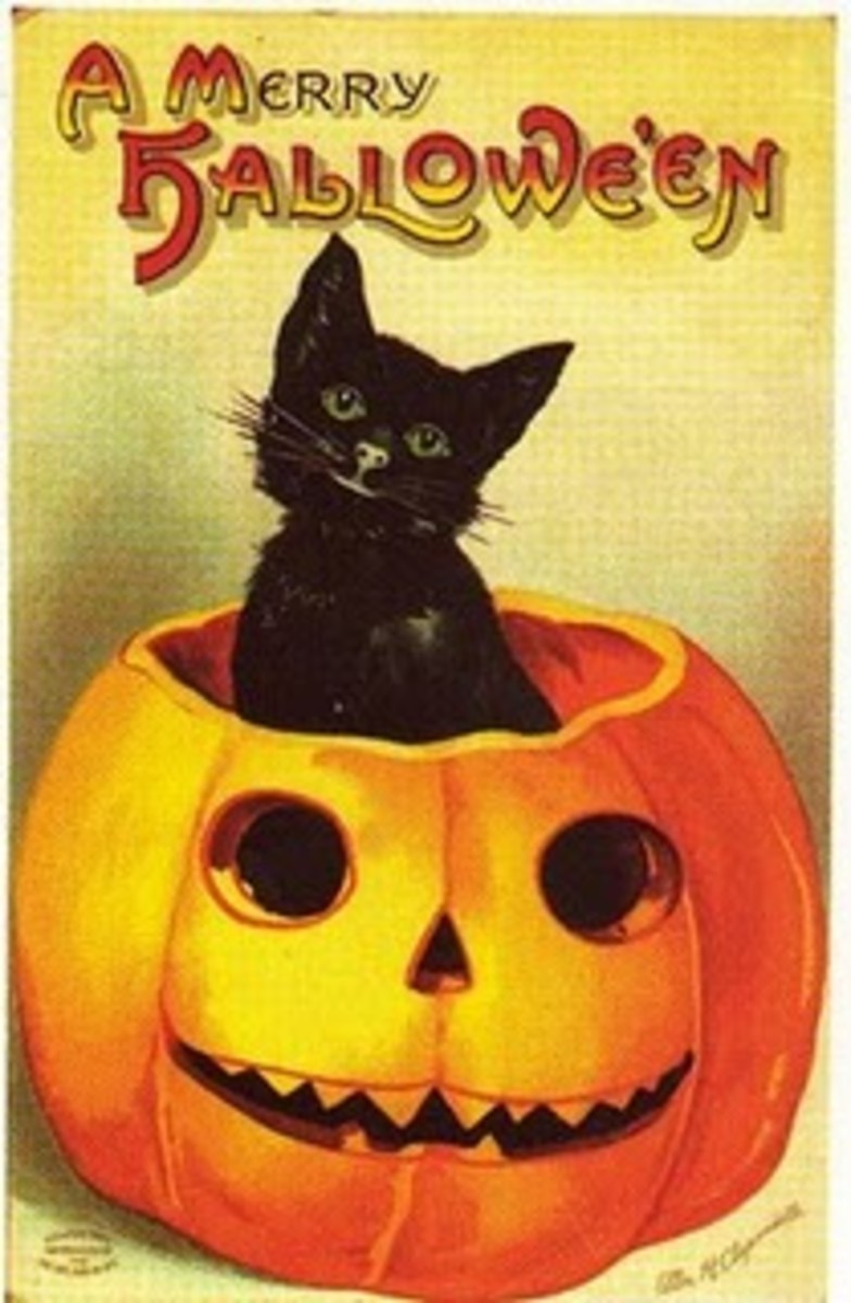 Free Halloween Cross Stitch Black Cat in Pumpkin