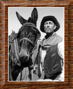 KEN "FESTUS" CURTIS, (right) was Marshall Dillon's trusted sidekick. Festus had his own trusted sidekick, "Ruth," his mule. My favorite sidekick would have to be Festus Haggan.
