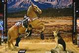 TRIGGER AND BULLET, two animal sidekicks of King of The Cowboys, Roy Rogers.