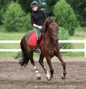 A rider flexes the horse to the right to correct stiffness on its right side