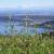 Chasseral, Switzerland - Panorama of 3 Lakes, Forest and Alp Mountains