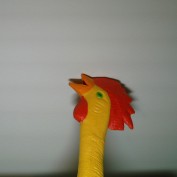 annafast11 profile image