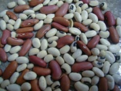 Traditional Boston Baked Beans Recipe
