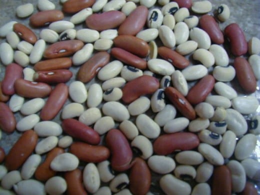 Dried beans.