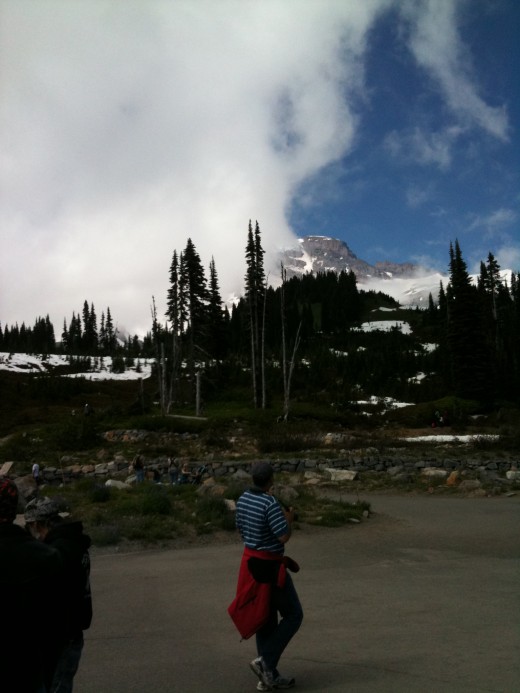 MT. RAINIER WAS BASHFUL THIS DAY