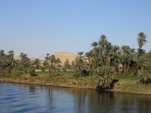 The banks of the River Nile