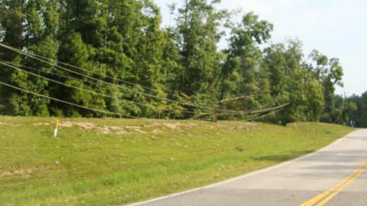 Thousands of people lost power because of fallen trees on power lines.