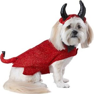 small dog costume with easy velcro closures
