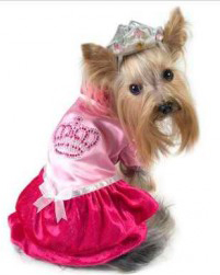 Pink-Royal-Princess-Dog-Costume