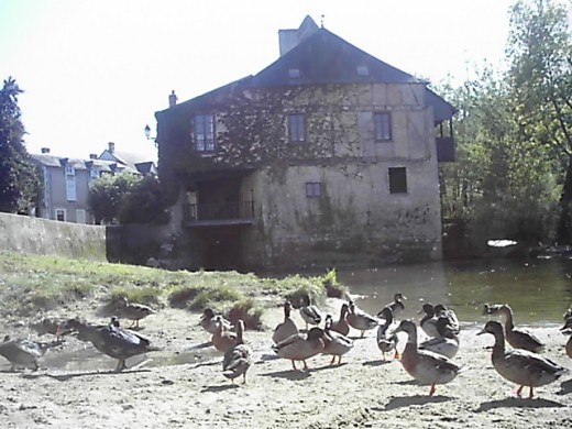 House with watermill