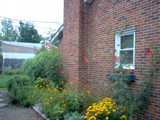 The driveway side - July 2006.