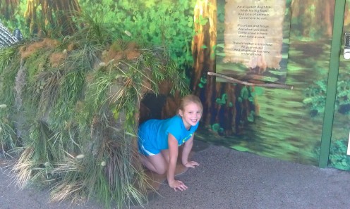 Children can crawl through special displays to engage their imagination at the Newport Oregon aquarium