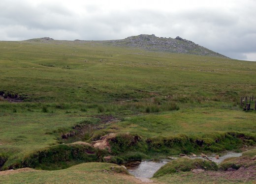 A picture of part of Bodmin Moor