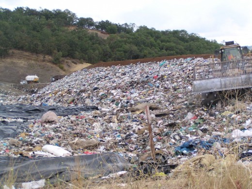 Some people believe using garbage disposals will cut down on landfills and the methane gas that results from them