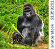 MY MOTHER HATED THIS ONE: "ANGRY GORILLA," HE NEVER SPOKE, JUST GROWLED, GRUNTED AND BROKE STUFF IN THE HOUSE.