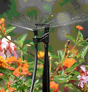Automatic Watering Systems - You CAN Do it Yourself!