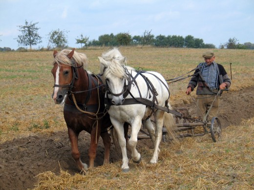 Plowing a Field