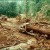 logging logging
