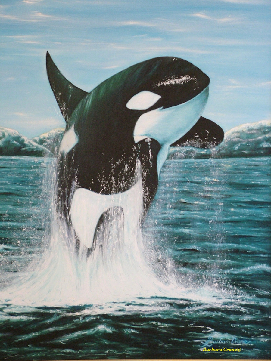 Killer Whales: Interesting and Fun Facts, Videos, Photos, and Links
