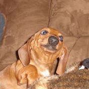 Christine T profile image