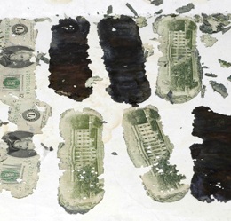 The $20 bill remnants found by eight year old Brian Ingrams