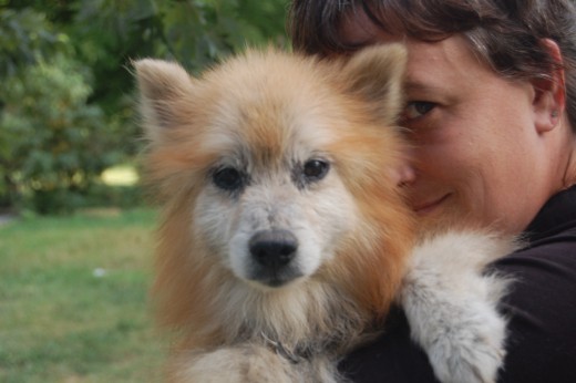 This is the dog nobody could touch and who instilled fear in his foster parents! A little love...