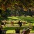 People relaxing in the Jardin du Luxembourg