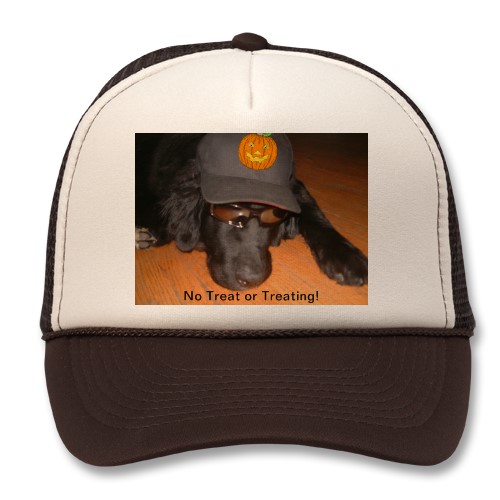 Susan's Newfoundland dog is either sad or sleeping. In any case he is so cute with his sunglasses and hat. Caption: "No Trick or Treating!" You can find Susan here on HubPages as Just Ask Susan. 