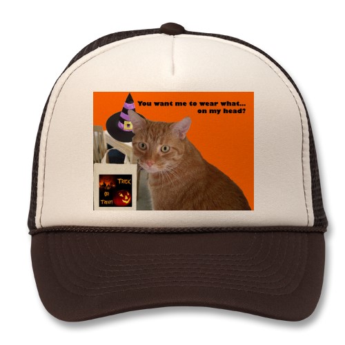 A little Halloween magic turned this cat and table photo into a fun holiday hat gift. This photo is shared by Susan Keeping, also known as Uninvited Writer on HubPages. Caption: "You want me to wear what...on my head?"