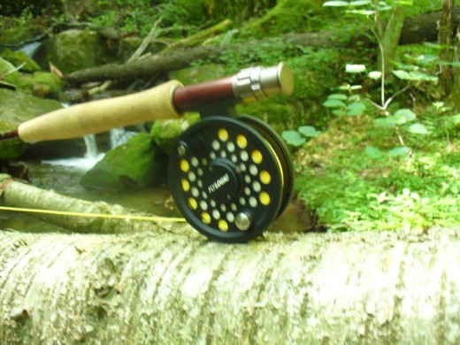 Limbs, Rocks, and Cascades add to the beauty of a mountain stream.