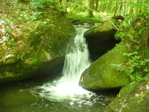 Some of the bigger fish in the stream hold in the deeper water under big cascades