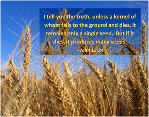 We must be willing to give up our "old" selves and take on "new" selves: be Born Again in Christ.