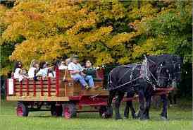 A horse drawn wagon is the ideal hayride!  