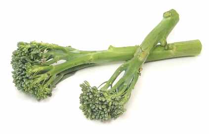 Broccolini 