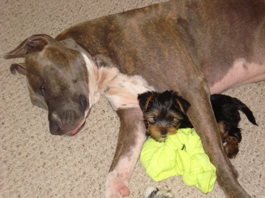 Look who's chewing...