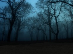 Enchanted forest: Halloween scenario ideas