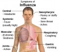 What To Do About The Common Cold And The Flu