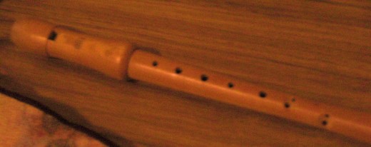 A wooden recorder.  Wooden recorders require more care than plastic ones do, but they provide a softer, more mellow sound.