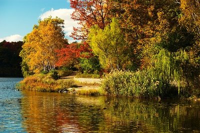 Grenadier Pond in Toronto's High Park