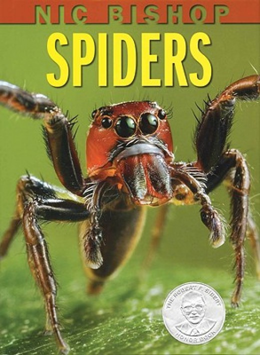 Preschool Books Spider Theme HubPages