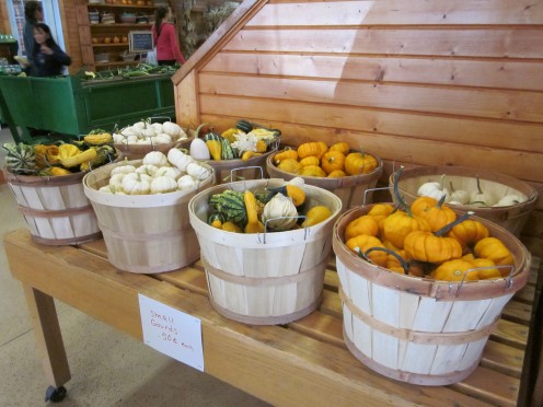 Gourds for Fall Decorating