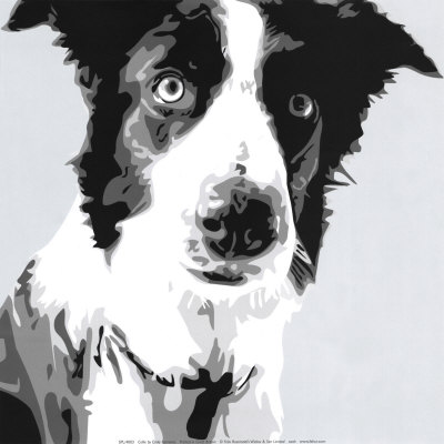 "BALLIE" WAS A PET COLLIE WHEN I WAS ONLY SEVEN. HE NEVER LIKED FOR STRANGERS TO MESS WITH ME MUCHLESS COME ONTO OUR PROPERTY.
