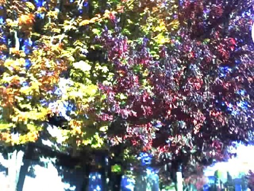 Picture taken by author