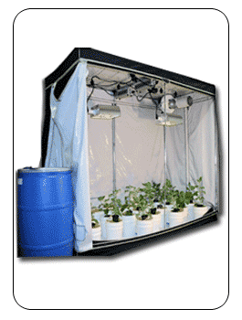 Hydroponic Grow Tent