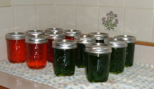 After five minutes, turn the jelly jars right side up and allow to cool overnight (at least 24 hours). Don't move the jelly before then as moving prevents it from setting up.
