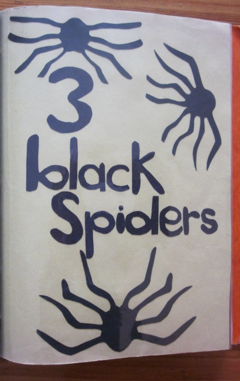 3 Black Spiders Spinning Great Big Webs!