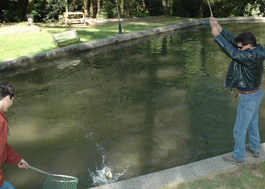 Alex's Catch!