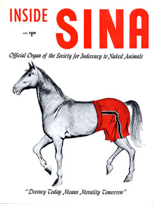 SINA horse